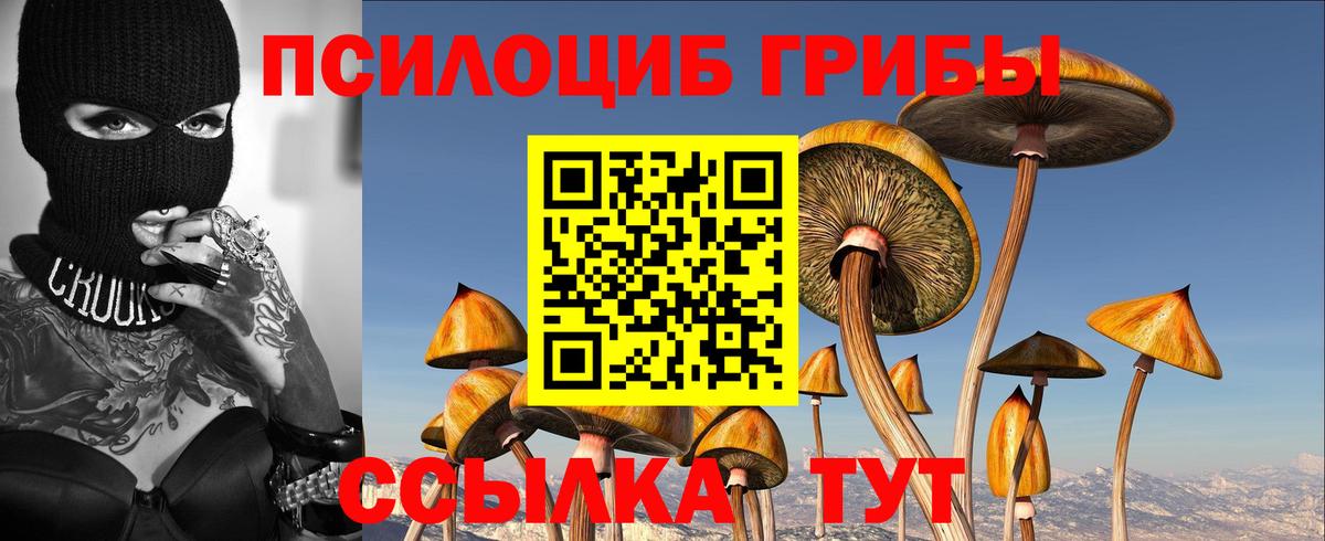 Галлюциногенные грибы GOLDEN TEACHER Екатеринбург