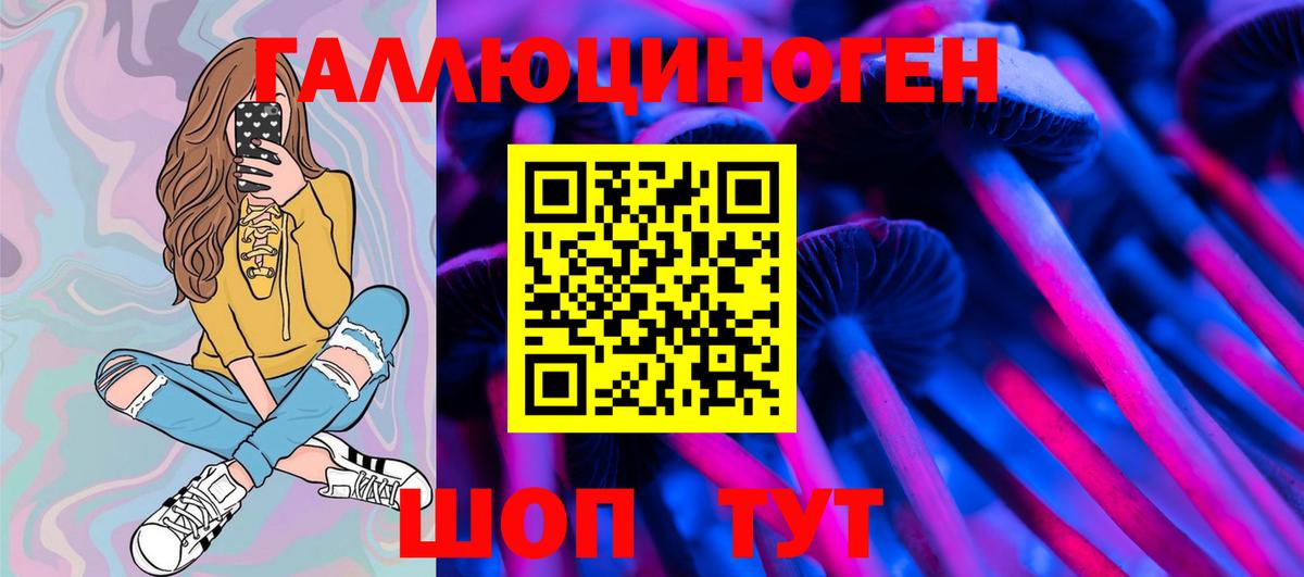 Екатеринбург  Псилоцибиновые грибы мухоморы  Вход с VPN 